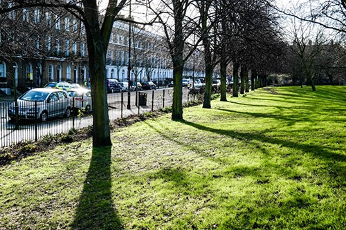 Enjoying our Islington Green Spaces in Winter thumbnail