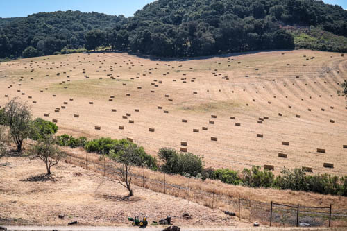 The Great American Road Trip: California thumbnail