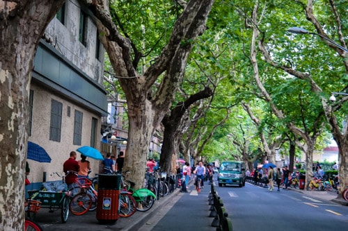 Walking Through History in Shanghai’s Former French Concession thumbnail